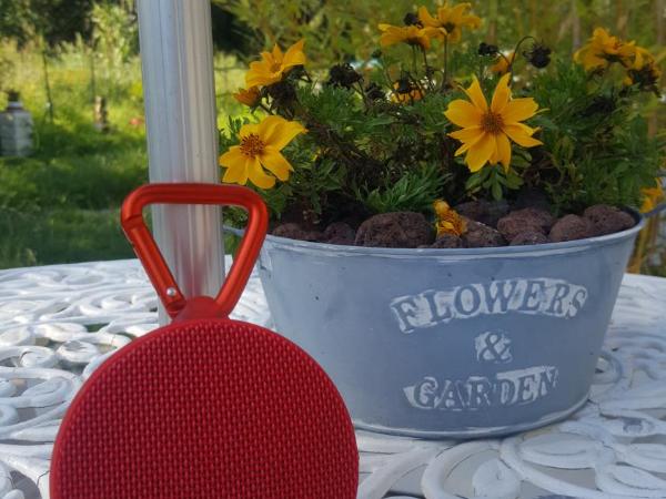 Au Charme de Pépiole : photo 2 de la chambre chambre double - vue sur jardin
