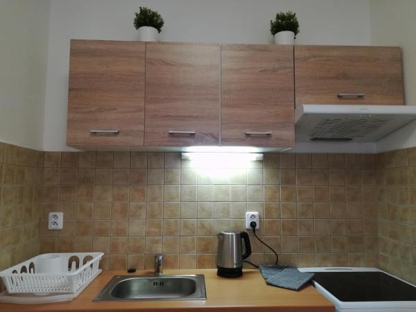 Residence Vysta : photo 10 de la chambre appartement - rez-de-chaussée - annexe