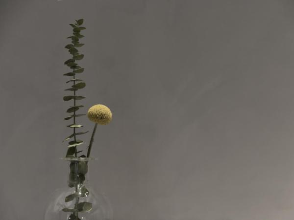 ICON Wipton : photo 7 de la chambre chambre double supérieure avec balcon