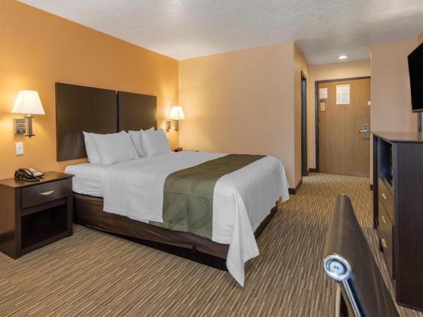 Quality Inn & Suites Albuquerque North near Balloon Fiesta Park : photo 4 de la chambre chambre lit king-size pour personnes à mobilité réduite - non-fumeurs