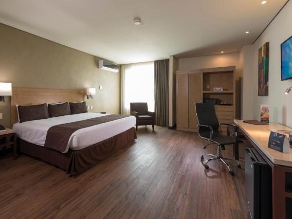 Victoria Ejecutivo : photo 3 de la chambre suite junior