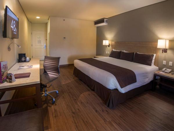 Victoria Ejecutivo : photo 1 de la chambre chambre lit king-size