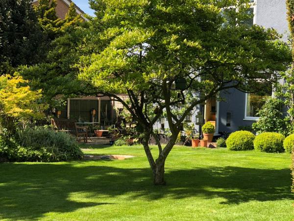 The Elms Guest House Bristol : photo 4 de la chambre chambre lits jumeaux standard