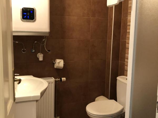 Zöldtető Panzió : photo 2 de la chambre chambre lits jumeaux standard