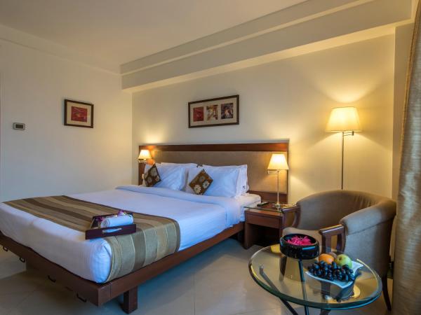 Park Ornate Hotel : photo 1 de la chambre hébergement double ou lits jumeaux deluxe