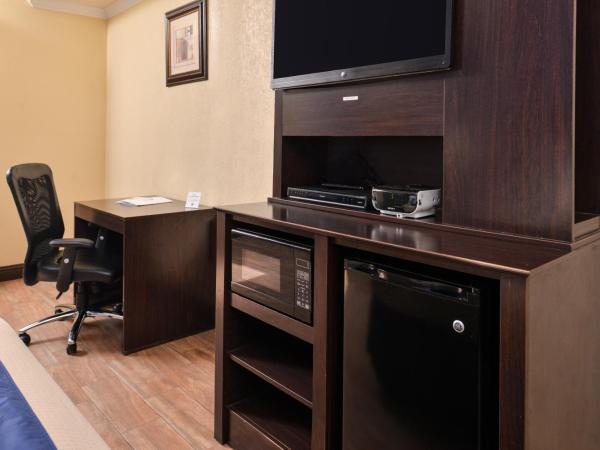 Americas Best Value Inn Medical Center Downtown : photo 1 de la chambre king bed standard non-smoking