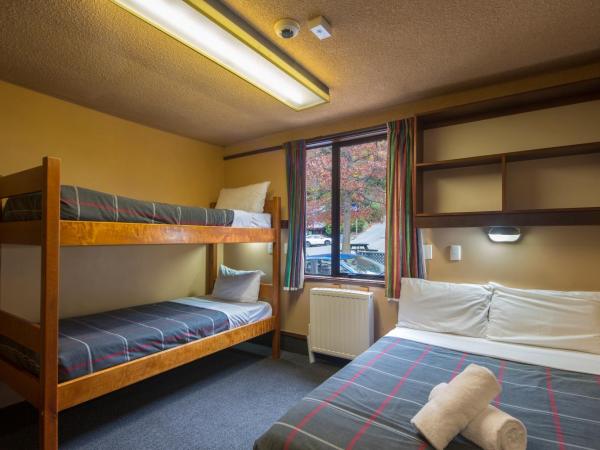 Pinewood Houses and Apartments : photo 1 de la chambre chambre double standard