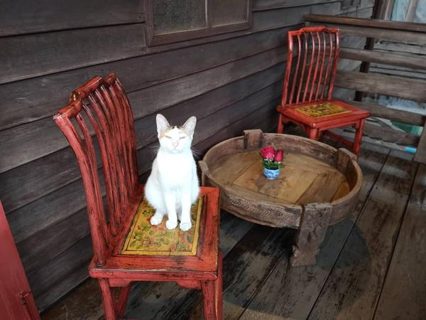 Siamotif Boutique Hotel : photo 10 de la chambre double room with balcony (flowery) - non-smoking
