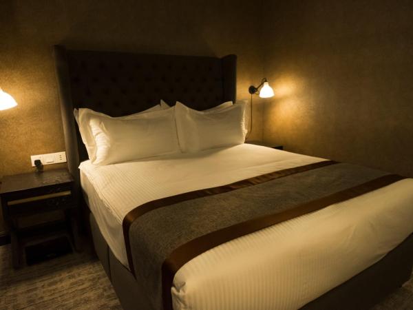 1969 Business Suites : photo 3 de la chambre deluxe premier (queen)