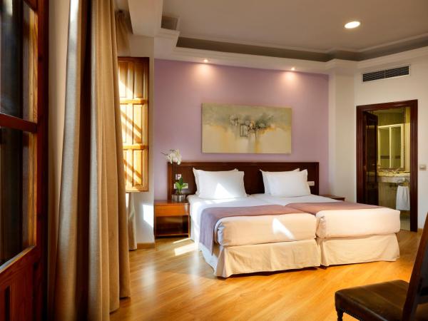 Exe Triunfo Granada : photo 1 de la chambre  chambre double