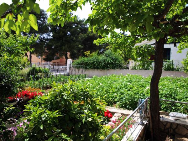 Apartments & Rooms Samohod : photo 5 de la chambre appartement - vue sur mer