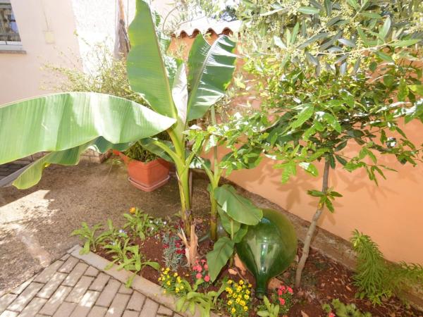 Apartmani Dekovic Materada : photo 5 de la chambre bungalow