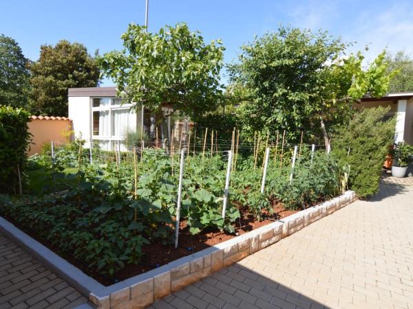 Apartmani Dekovic Materada : photo 6 de la chambre bungalow