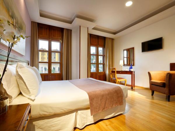 Exe Triunfo Granada : photo 5 de la chambre chambre double ou lits jumeaux - vue sur ville
