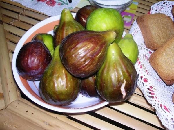 Istentales Alghero : photo 1 de la chambre chambre double avec terrasse