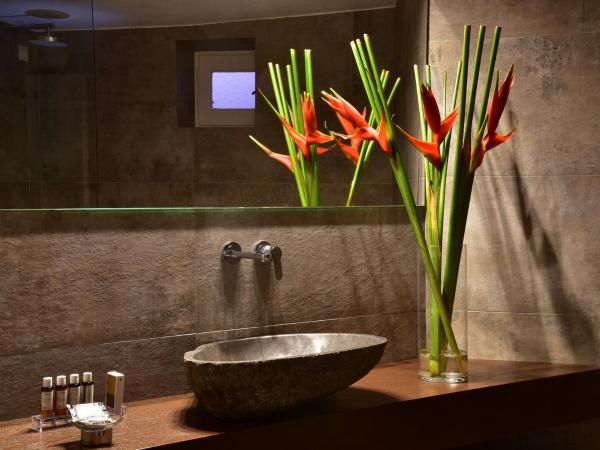 Hermes Mykonos Hotel : photo 3 de la chambre chambre double ou lits jumeaux avec vue sur mer