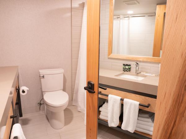 Tunnel Mountain Resort : photo 10 de la chambre appartement 1 chambre avec loft - kq