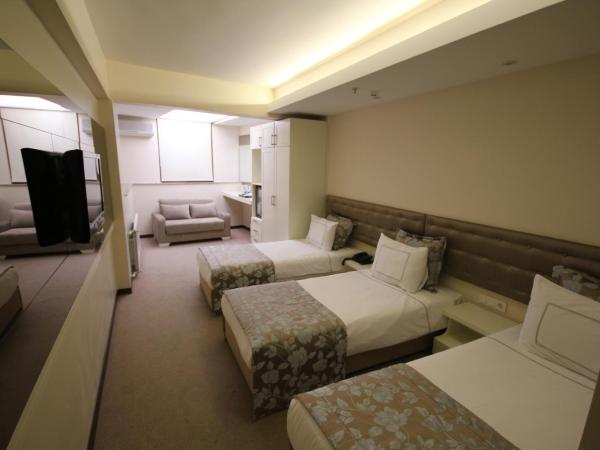 Grand Washington Hotel : photo 5 de la chambre chambre triple standard