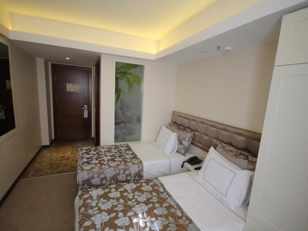 Grand Washington Hotel : photo 7 de la chambre chambre double ou lits jumeaux standard