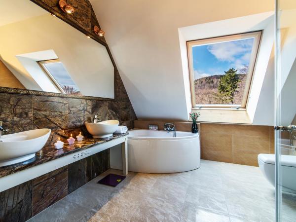 Pałac Margot Nature&SPA : photo 2 de la chambre appartement