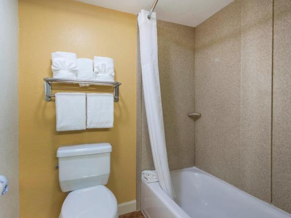 Quality Inn & Suites Near the Theme Parks : photo 5 de la chambre chambre standard lit queen-size