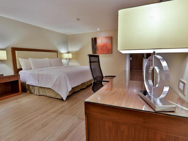 Antaris Valle : photo 2 de la chambre suite standard lit king-size