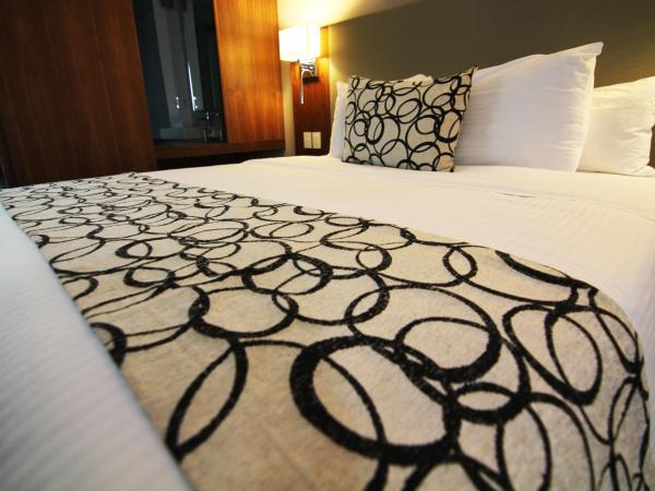 Casa Inn Premium Hotel Queretaro : photo 5 de la chambre chambre avec 2 lits doubles queen-size