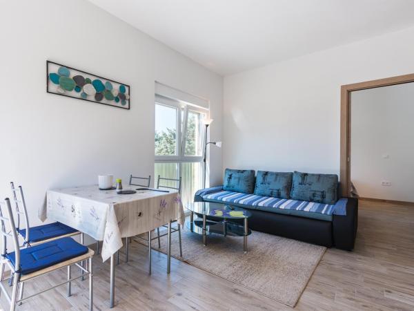 Guesthouse Bencun Medulin : photo 9 de la chambre appartement avec terrasse