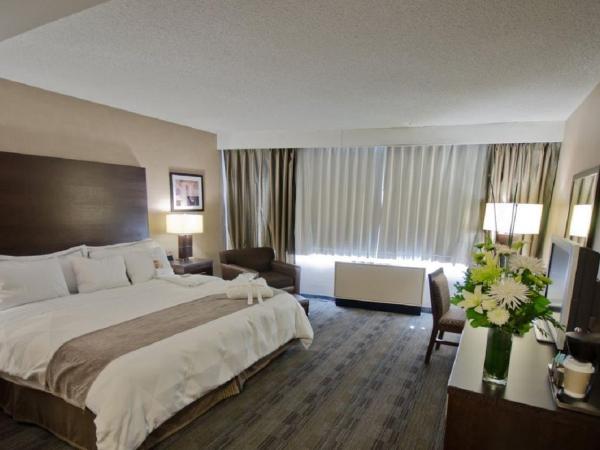 Radisson Hotel Winnipeg Downtown : photo 1 de la chambre chambre lit king-size - non-fumeurs