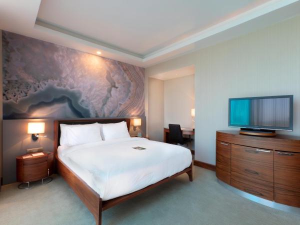 Mercure Istanbul Umraniye : photo 4 de la chambre chambre double deluxe