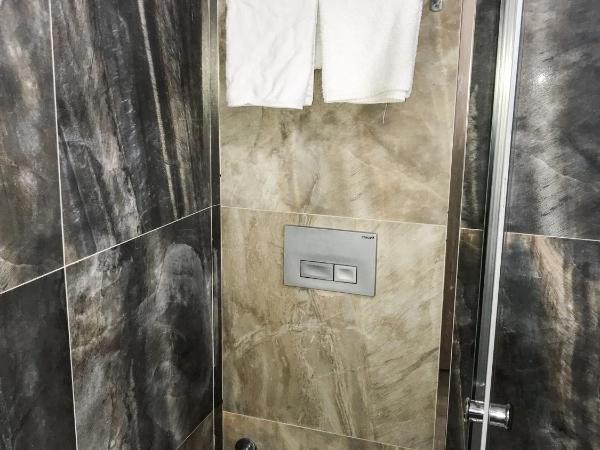 Melrose House Hotel : photo 1 de la chambre chambre simple