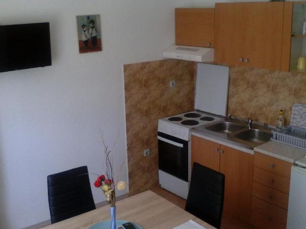 Guest House Ana : photo 5 de la chambre appartement - rez-de-chaussée