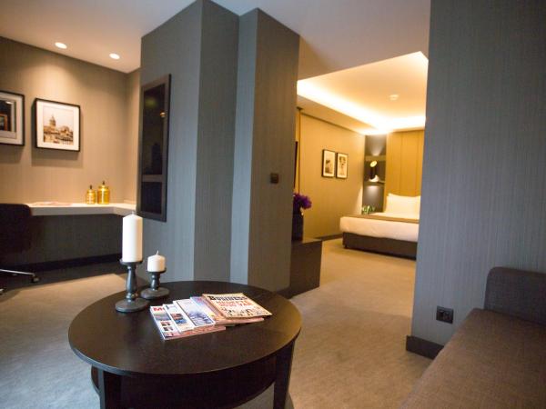 Cityloft 81 : photo 4 de la chambre suite d'angle