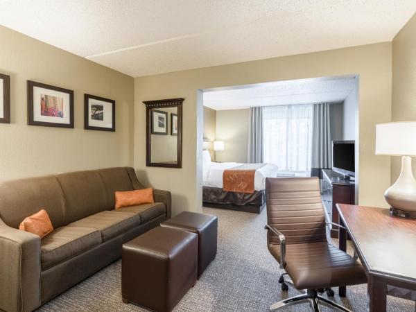 Comfort Suites Austin Airport : photo 9 de la chambre suite lit king-size