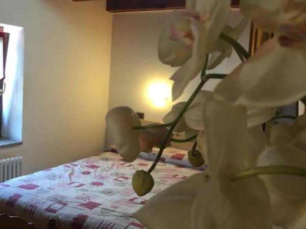 B&B La Vieille Meison de Pappa : photo 2 de la chambre suite (2 adultes)