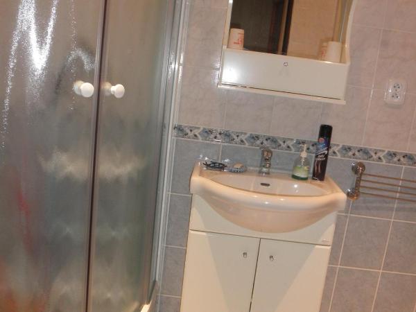 Pension U Kaktusu : photo 1 de la chambre suite 2 chambres