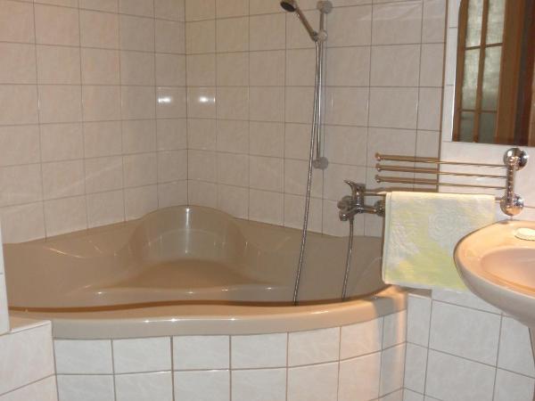 Pension U Kaktusu : photo 6 de la chambre appartement