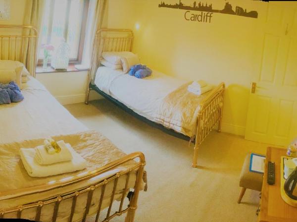 Ty Mynydd Lodge : photo 1 de la chambre chambre lits jumeaux avec salle de bains privative