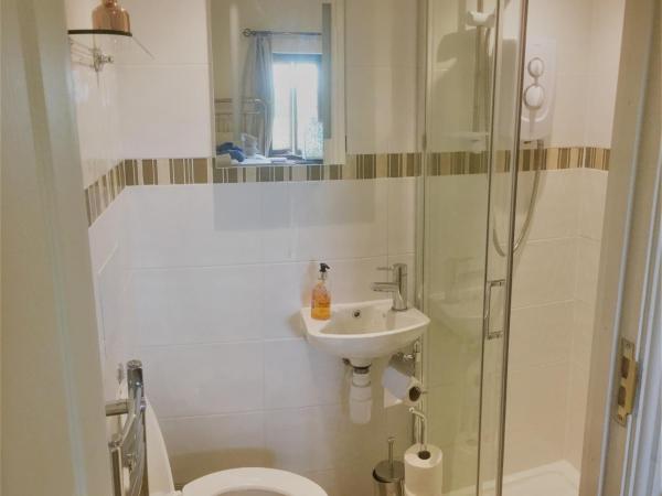 Ty Mynydd Lodge : photo 5 de la chambre chambre lits jumeaux avec salle de bains privative