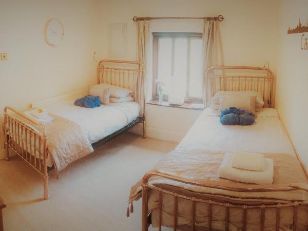 Ty Mynydd Lodge : photo 4 de la chambre chambre lits jumeaux avec salle de bains privative