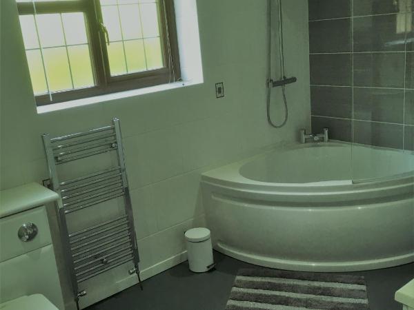 Ty Mynydd Lodge : photo 4 de la chambre chambre double avec salle de bains privative