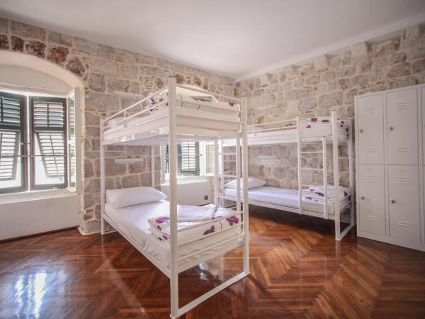 Hostel Angelina Old Town : photo 2 de la chambre lits superposés dans dortoir mixte de 12 lits