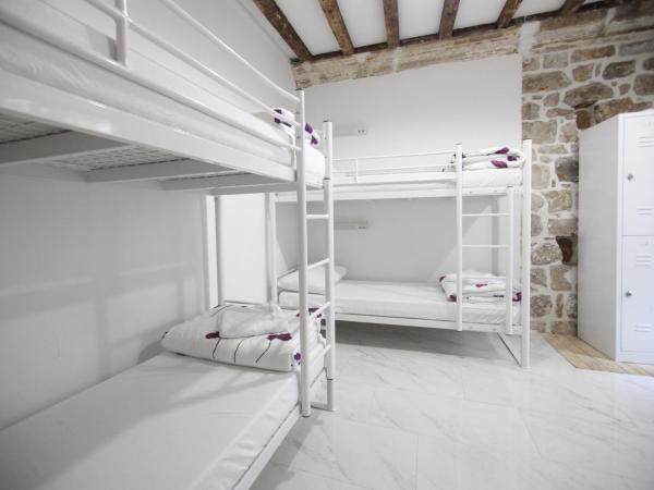 Hostel Angelina Old Town : photo 4 de la chambre lit dans dortoir mixte de 8 lits