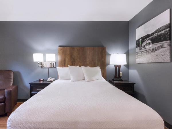 Extended Stay America Premier Suites - Nashville - Vanderbilt : photo 6 de la chambre studio lit queen-size - non-fumeurs