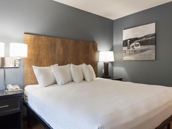 Extended Stay America Premier Suites - Nashville - Vanderbilt : photo 8 de la chambre studio lit king-size - non-fumeurs