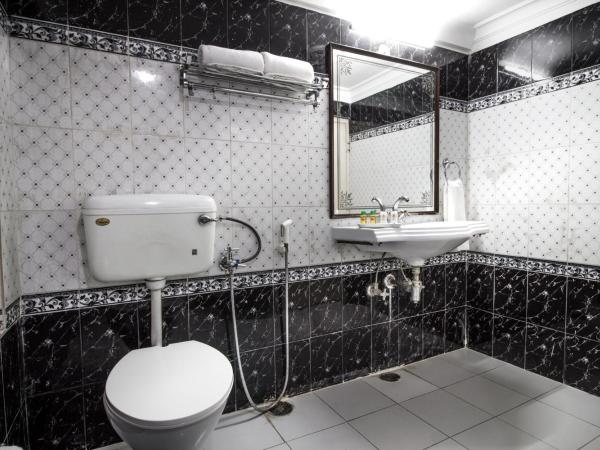 Hotel Sugan Niwas Palace : photo 1 de la chambre chambre double supérieure