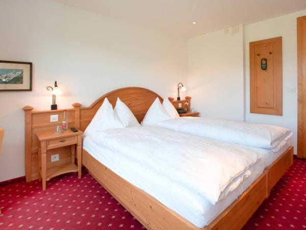 Hotel Sonnenberg : photo 2 de la chambre chambre lits jumeaux Économique sans vue sur montagne