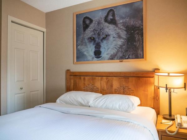 Banff Rocky Mountain Resort : photo 4 de la chambre suite 1 chambre