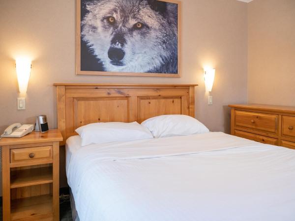 Banff Rocky Mountain Resort : photo 7 de la chambre suite loft