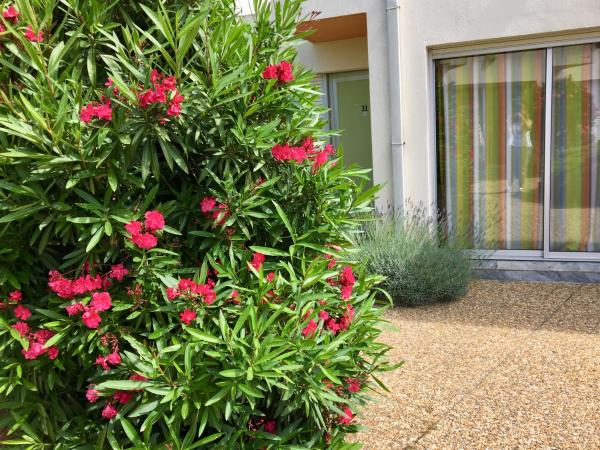 Amerique Hotel Palavas - Piscine - Plage : photo 9 de la chambre chambre lits jumeaux/double motel patio